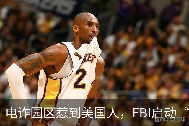 电诈园区惹到美国人，FBI启动“断电行动”，对电诈园区彻底开战